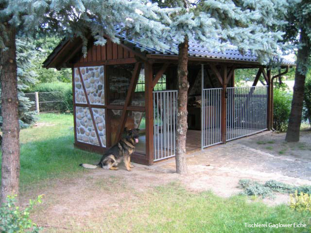 Hundezwinger mit Hund